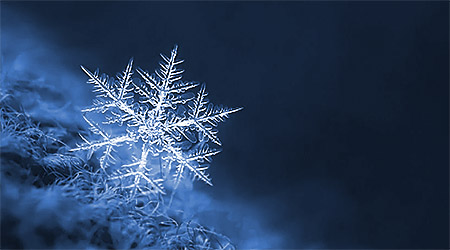 С наступающими праздниками!