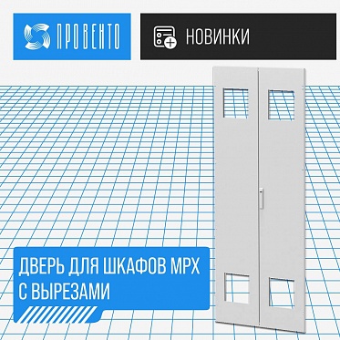 D 200.80 D (Д615)  Дверь