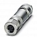 1542910 Коннектор SACC-M 8FS-4CON-M-0,34-SH