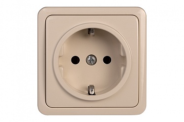 4779101111200 Розетка RP16-002/SL+iv Розетка с заземлением , упак (10 шт)