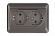 4779101117295 Розетка с заземлением, двухместная RP16-021/SLan, упак (6 шт)
